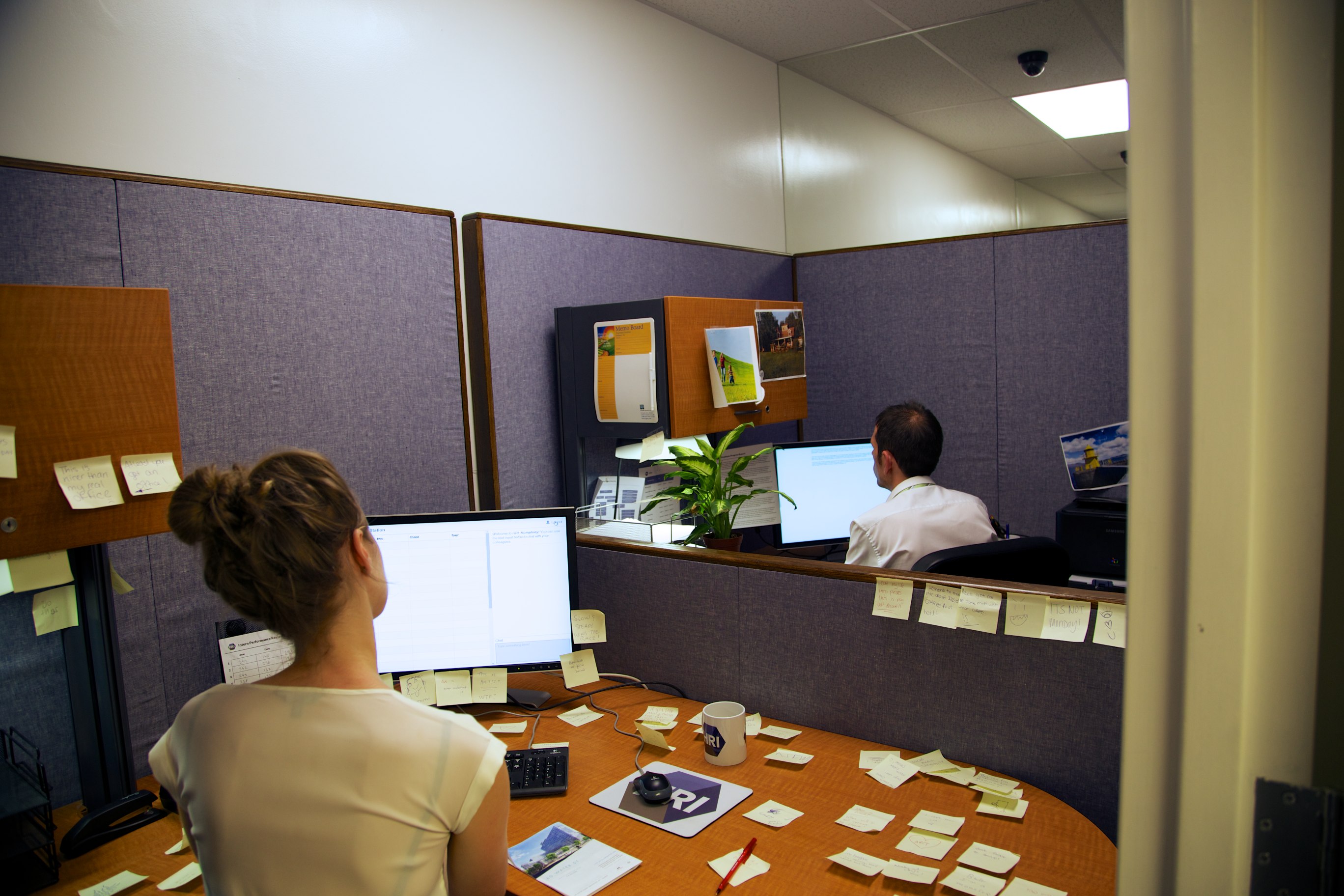 HRI - Installation View